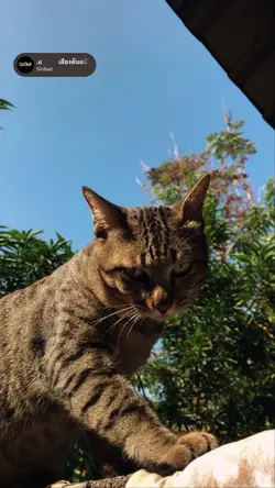 3เดือน 🔥❌