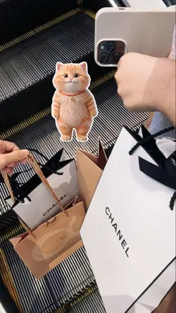 Cat dance trend