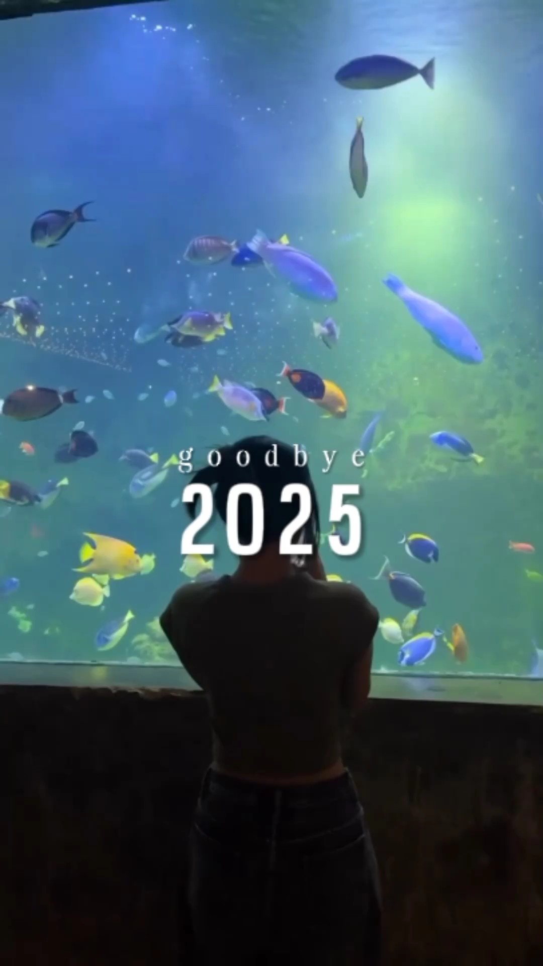 Auf Wiedersehen 2025