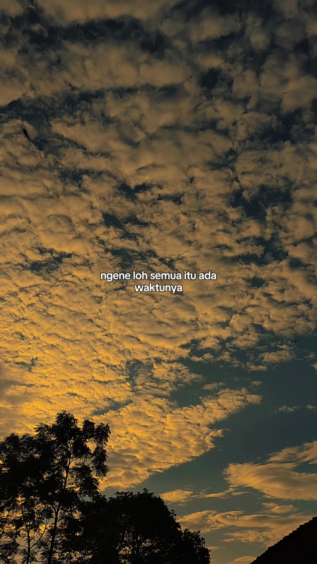 ngene lo semua ada