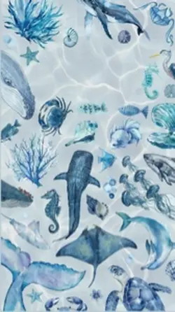 shark vers