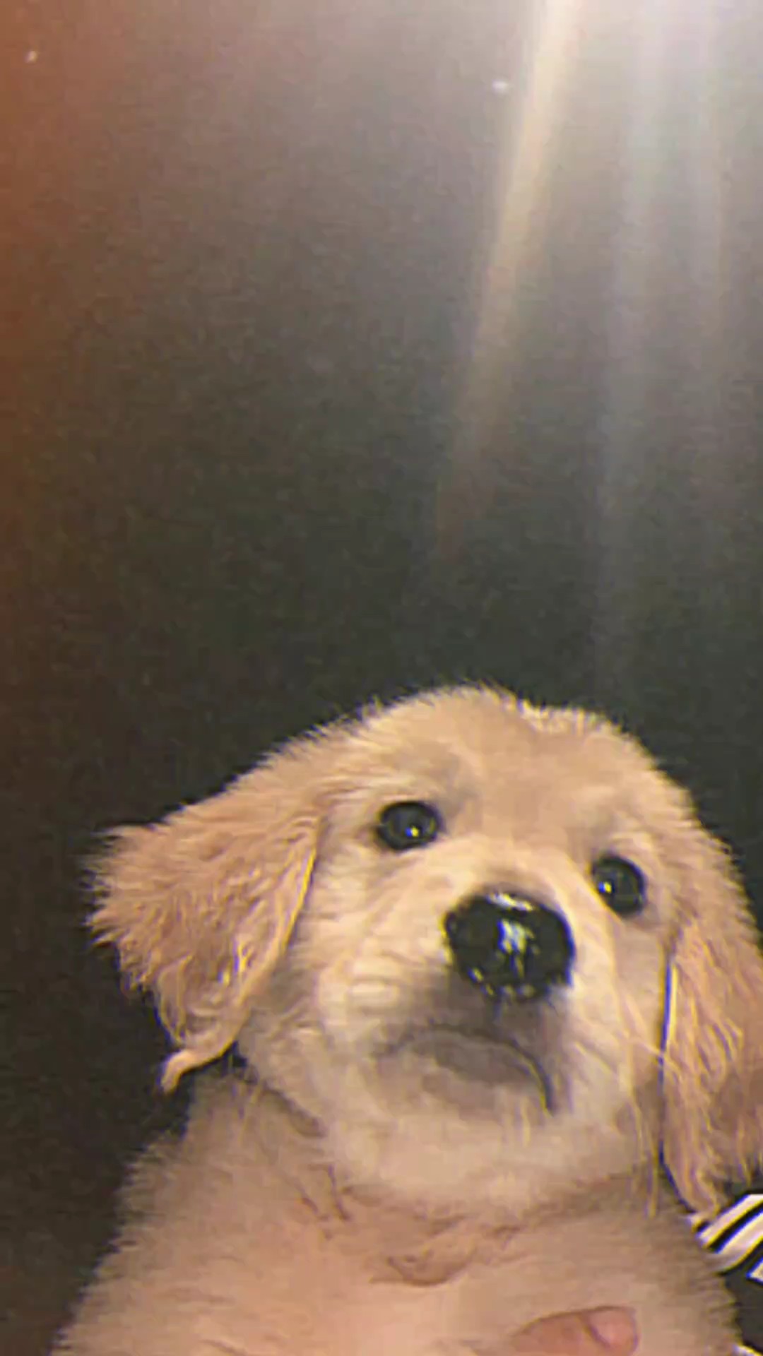 จากวันนั้นฉันก็มอง