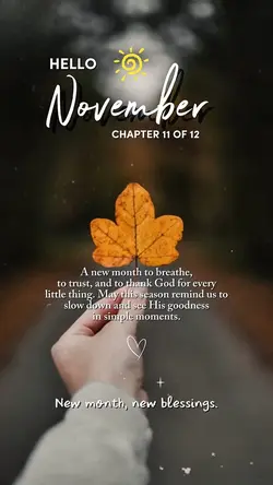 Hello November 🌼