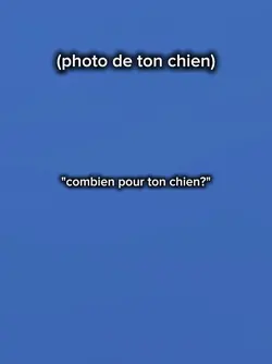 combien pour ton chi