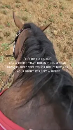 Just a horseβ¦