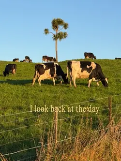 Farm scene