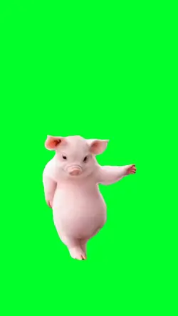 Pig dancing
