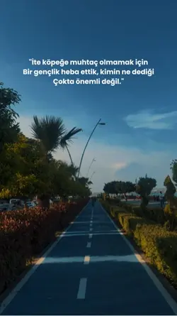 Adana menderes