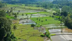 Beauty of nature
