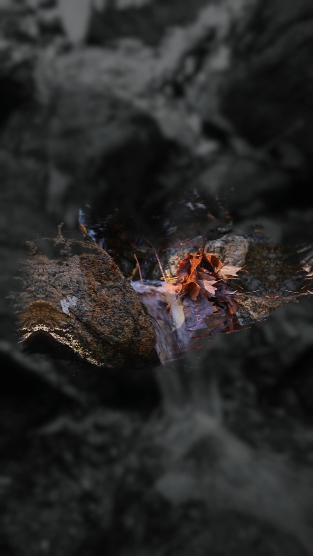 6 video cinematic 