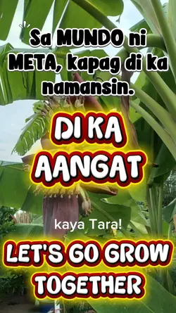 FACEBOOK POST