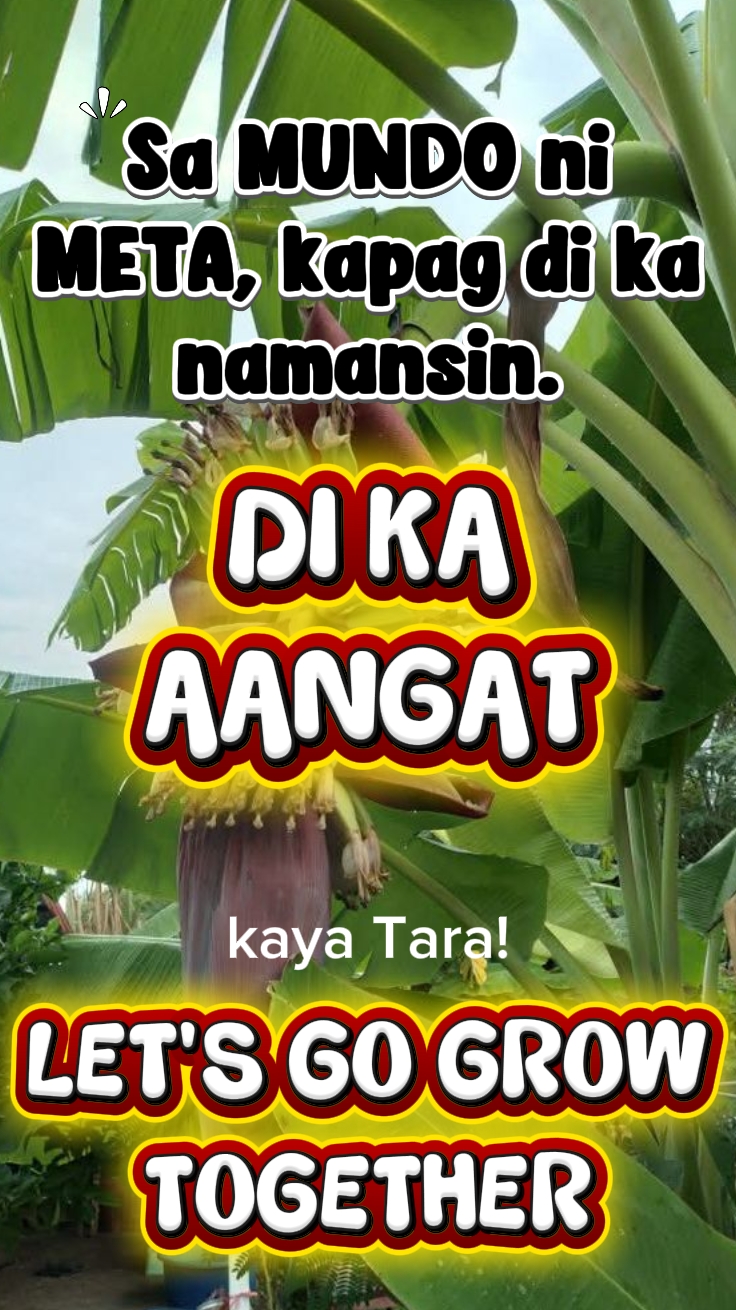POSTINGAN FACEBOOK