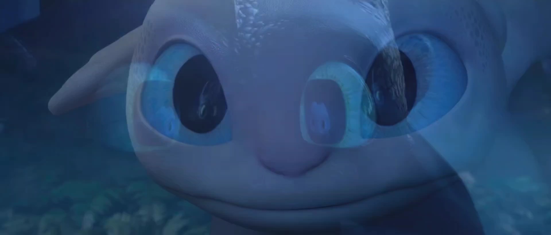 Oh,who IS she...