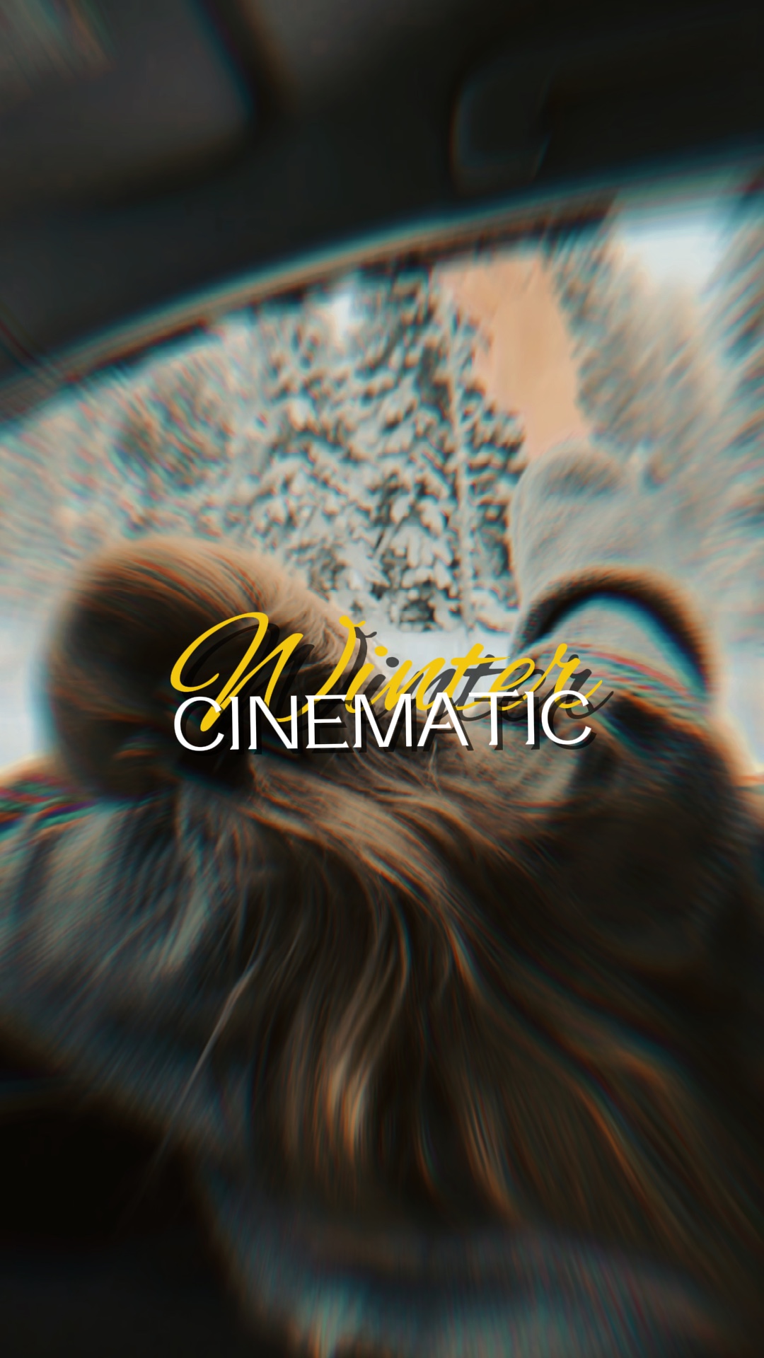 WINTER CINEMATIC P15