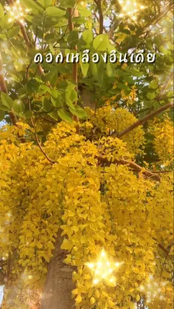 เหลืองอินเดีย