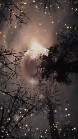 Beautiful Night