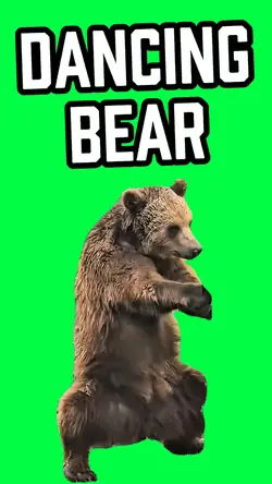 DANCING BEAR