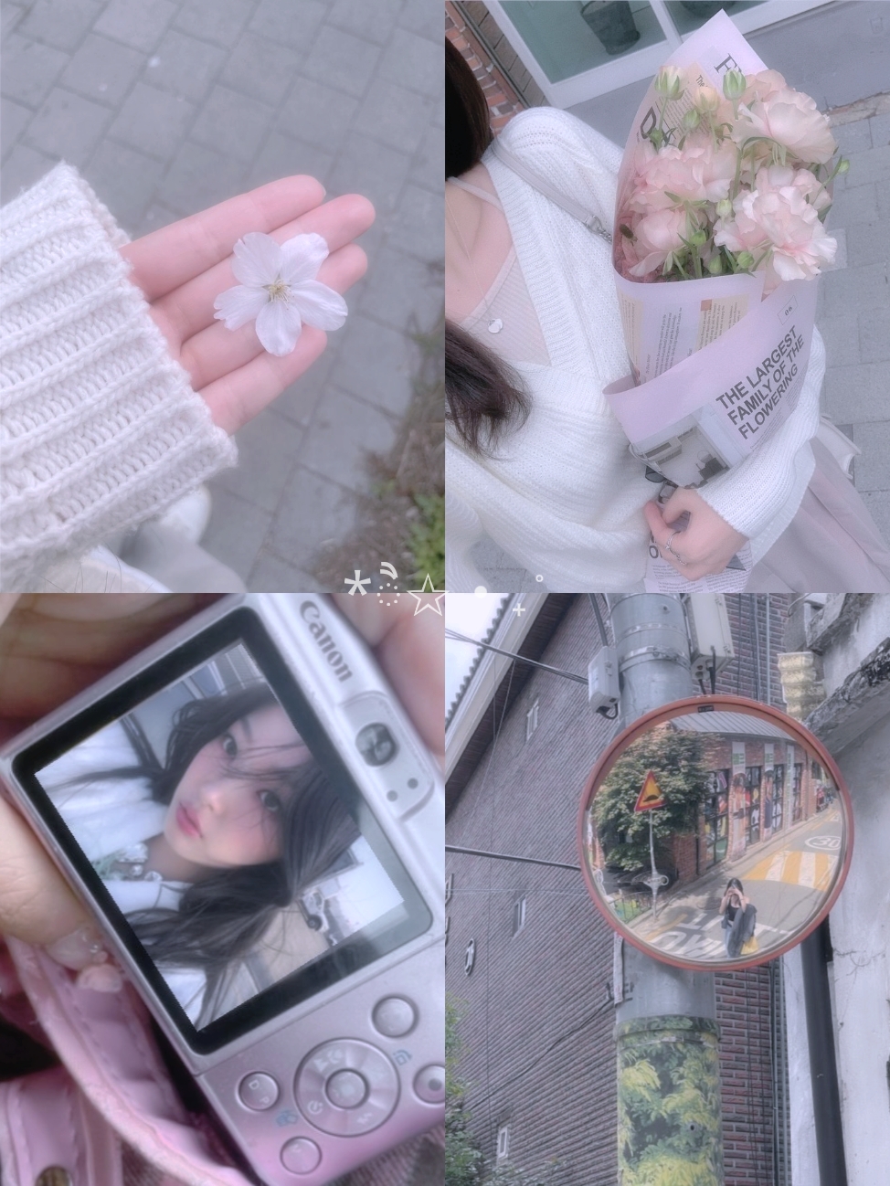 aesthetic