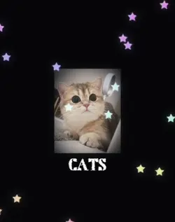 Cat Template