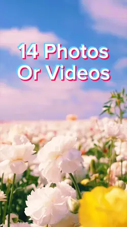 14 Photo Slides