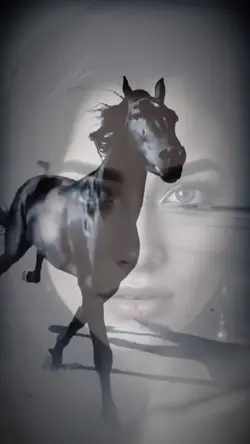 Overlay horses ❤️