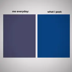 MeEverydyVsWhatIPost