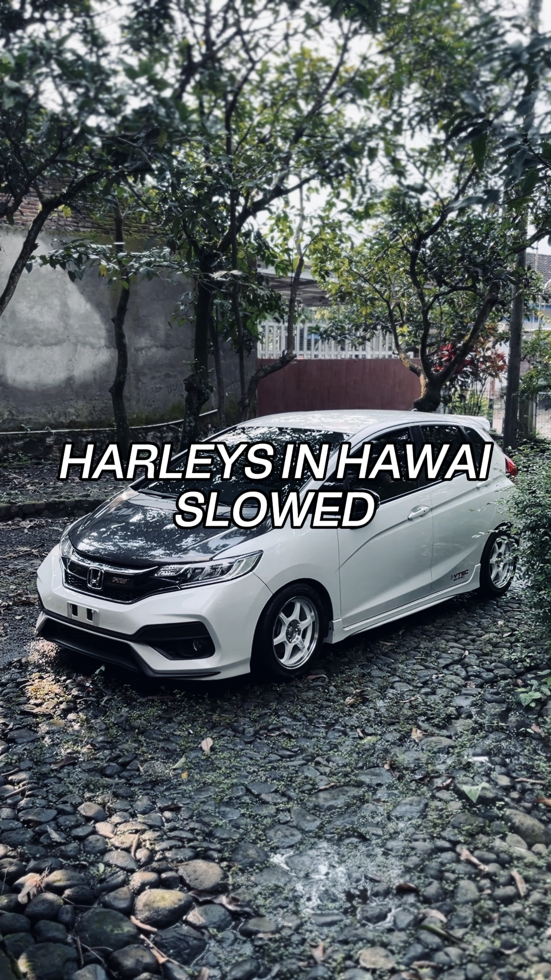 HARLEYS IN HAWAI