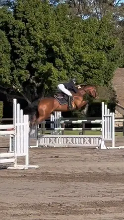 quality said bye 🥲