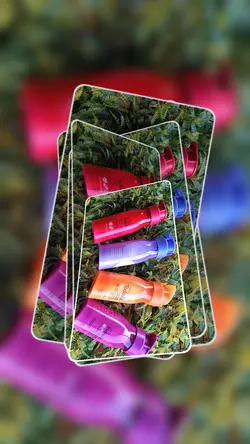 10 FOTOS DIVULGAÇÃO