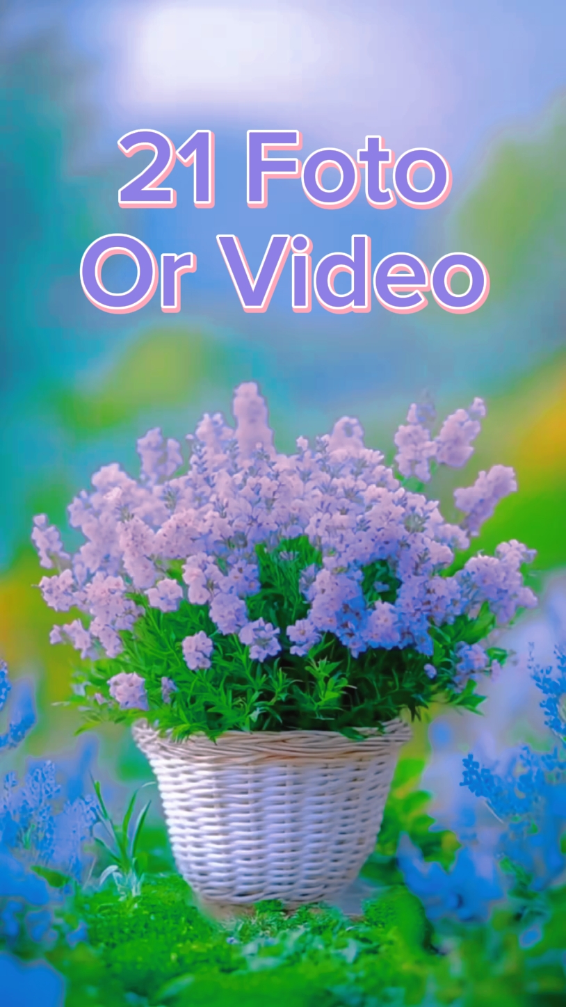 21 Video Slides