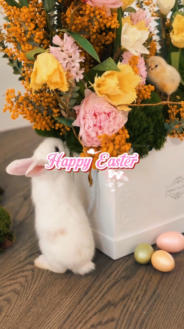 Frohe Ostern