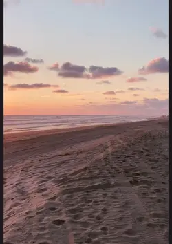 Strand 🏝️