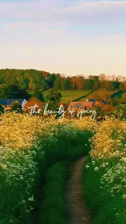 The beauty of Spring