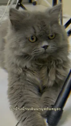 เรื่องมันเศร้า 