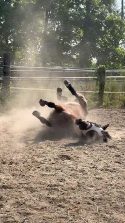 upside down🤠|‼️18+‼️