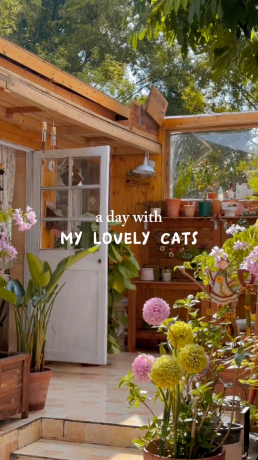 a day with my cat#12