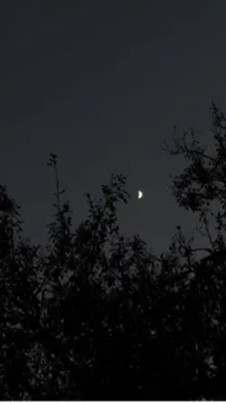 STAY PRIVATE ❤️‍🩹