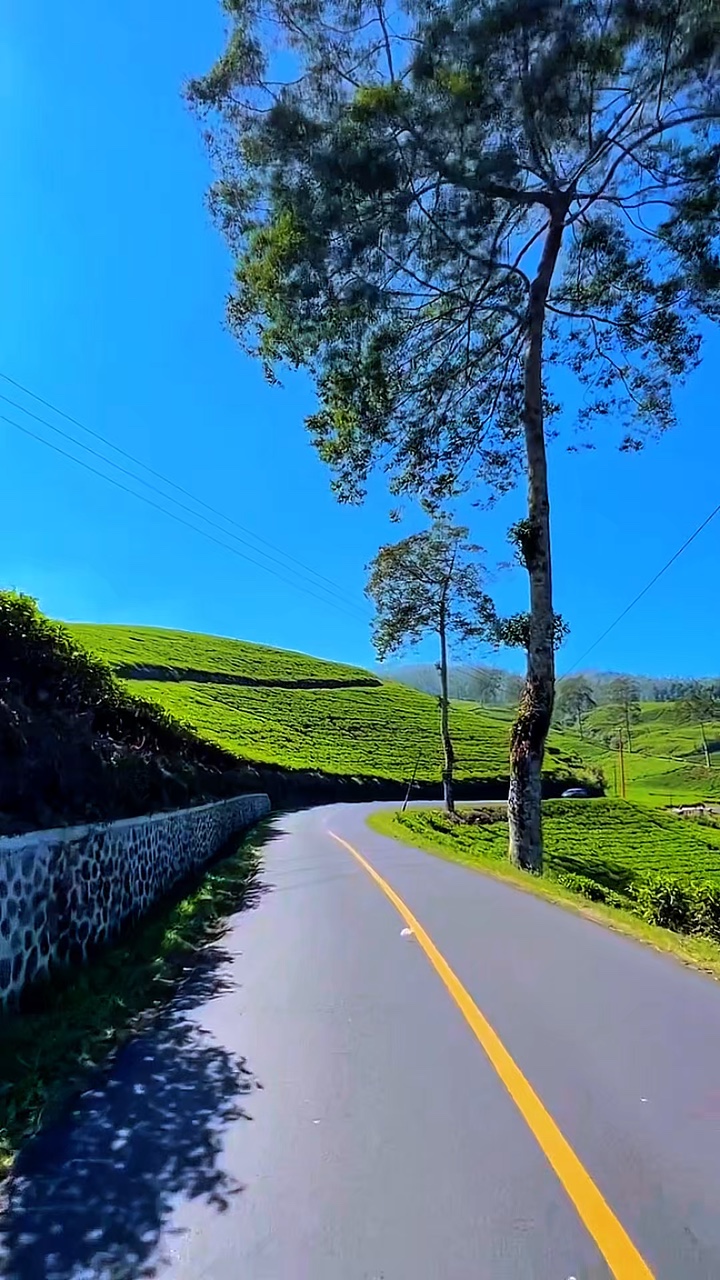 6 video HD travel