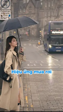 Mẫu hiệu ứng mưa
