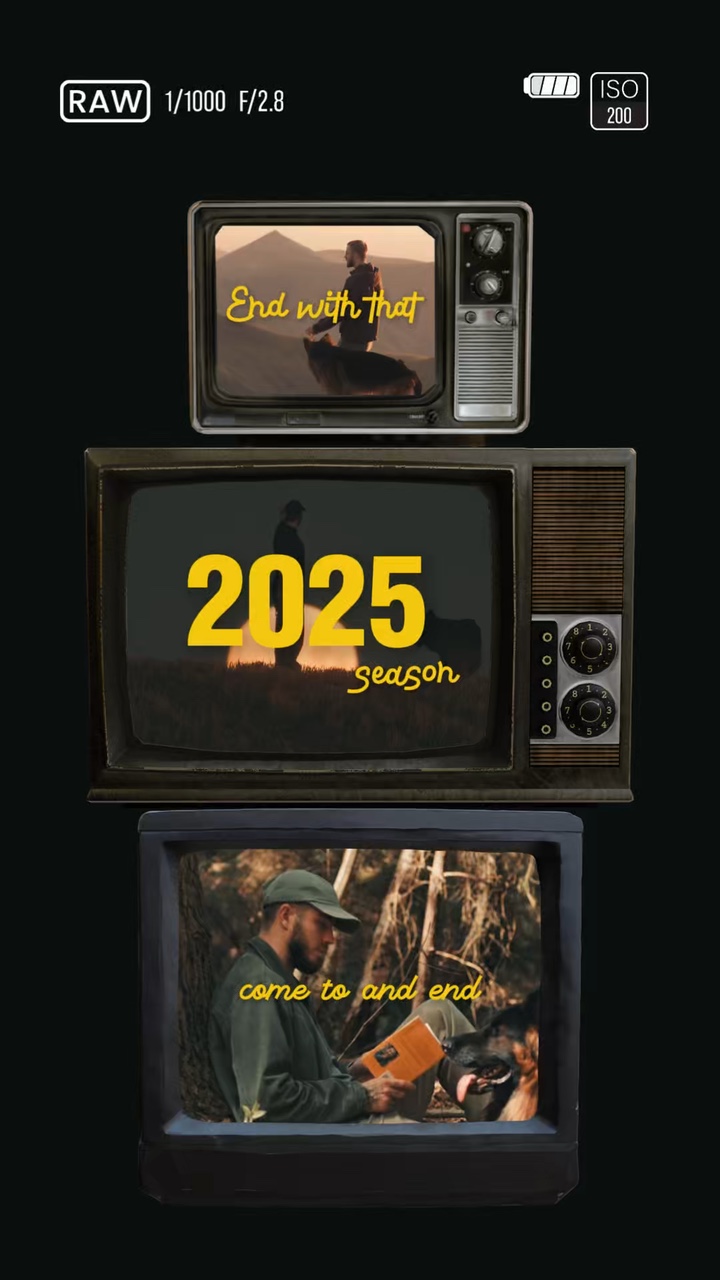 2025 Zusammenfassung dog ver