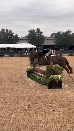 slow mo🌺| FAKE AI