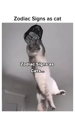 Zodiac Sign as Cat