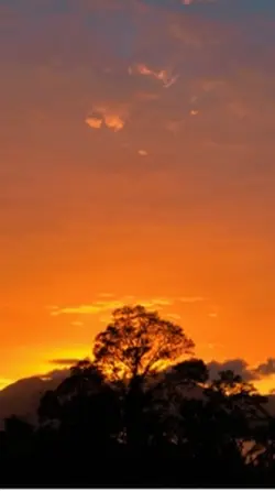 Senja