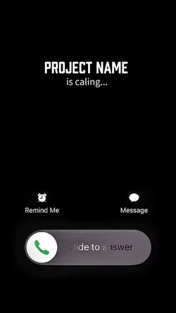 PROJECT NAME