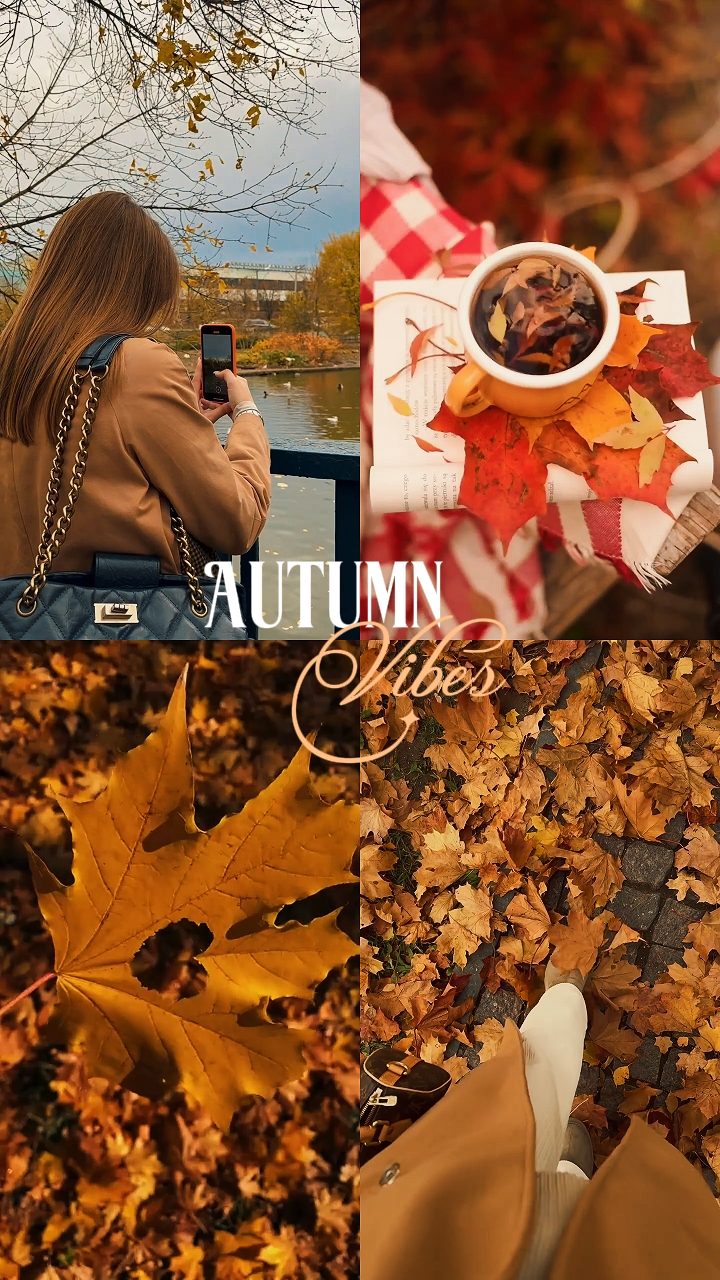 Autumn vibes