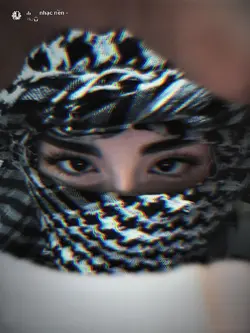 habibi 