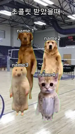 초콜릿 받았을때: