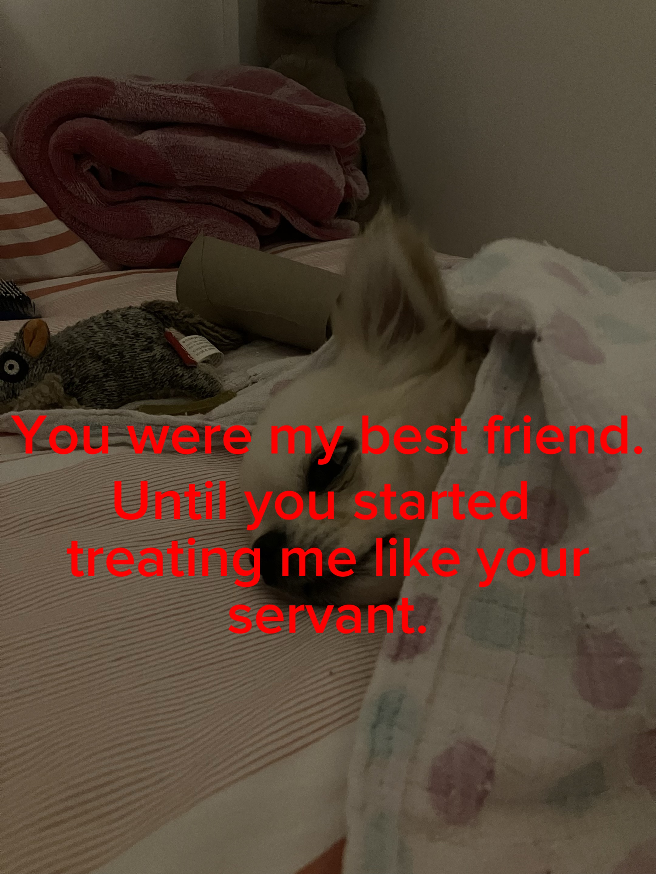 I Miss Her Sometimes