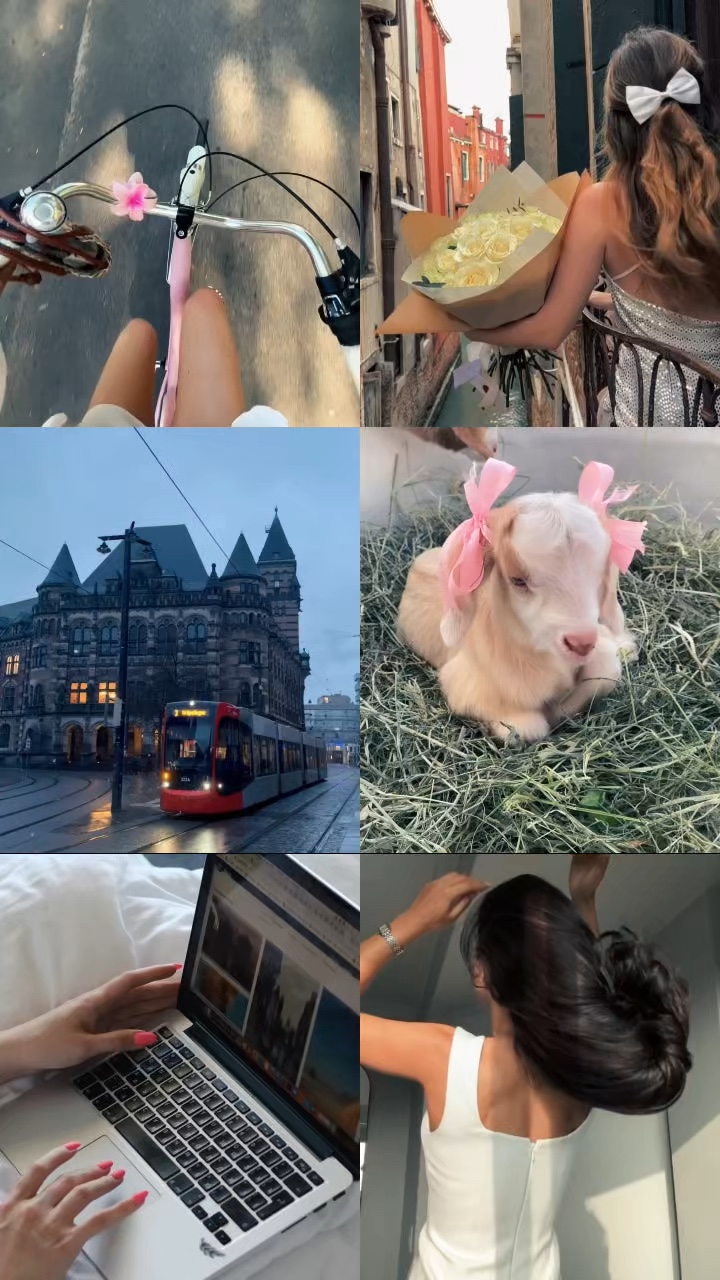 6 Grid Video 