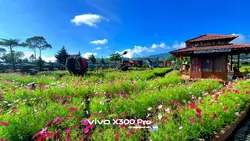 FILTER HD VIVO X300